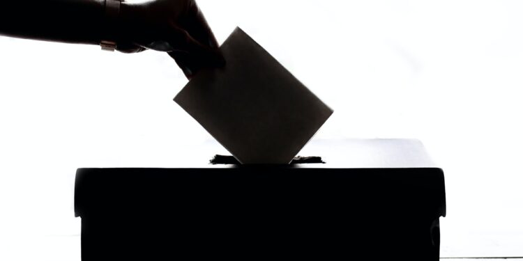 Supreme Court Partially Upholds Arizona Voter Citizenship Law